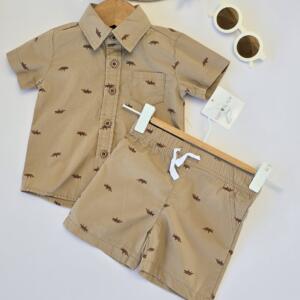 brown boys short set